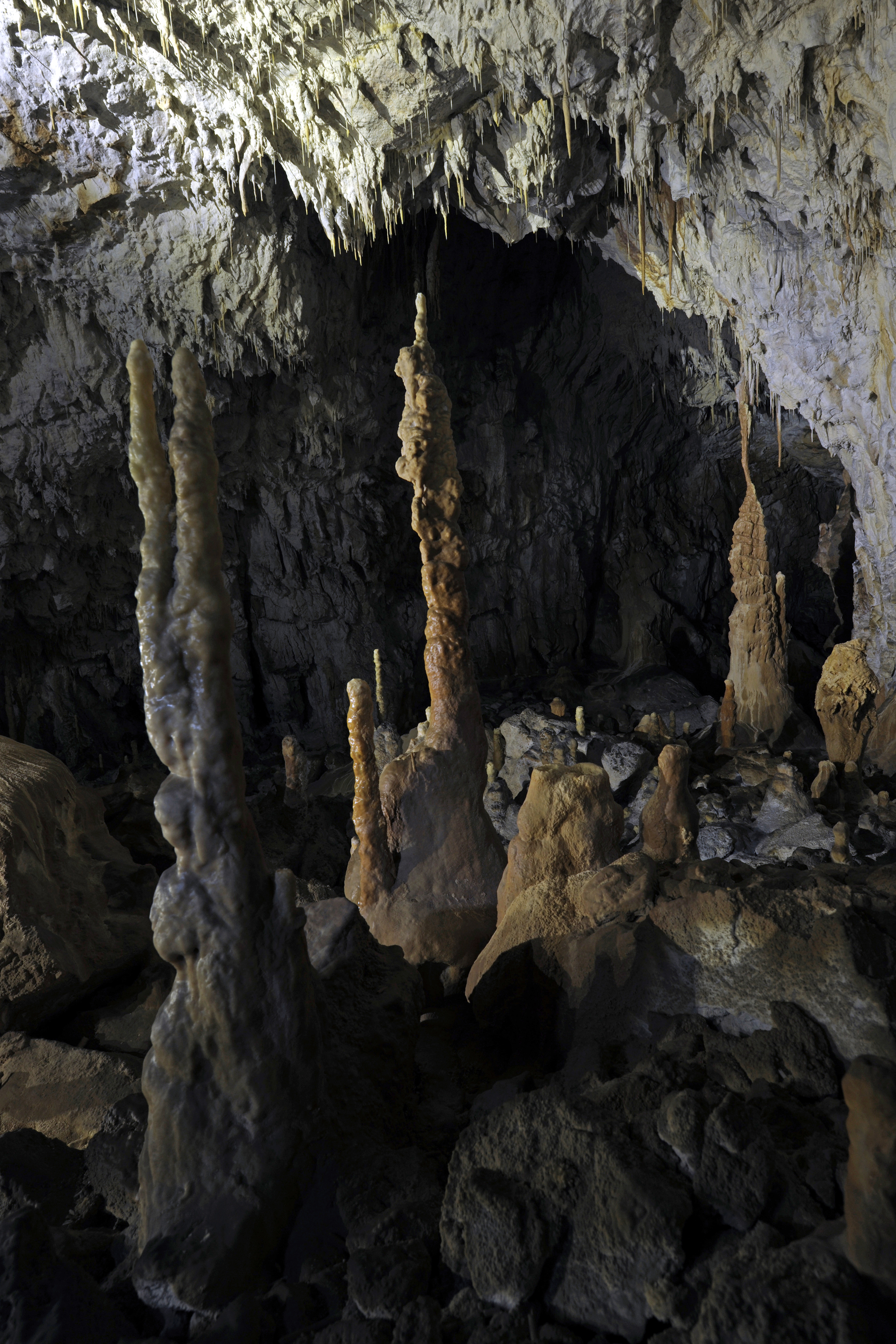 Đalovića pećina